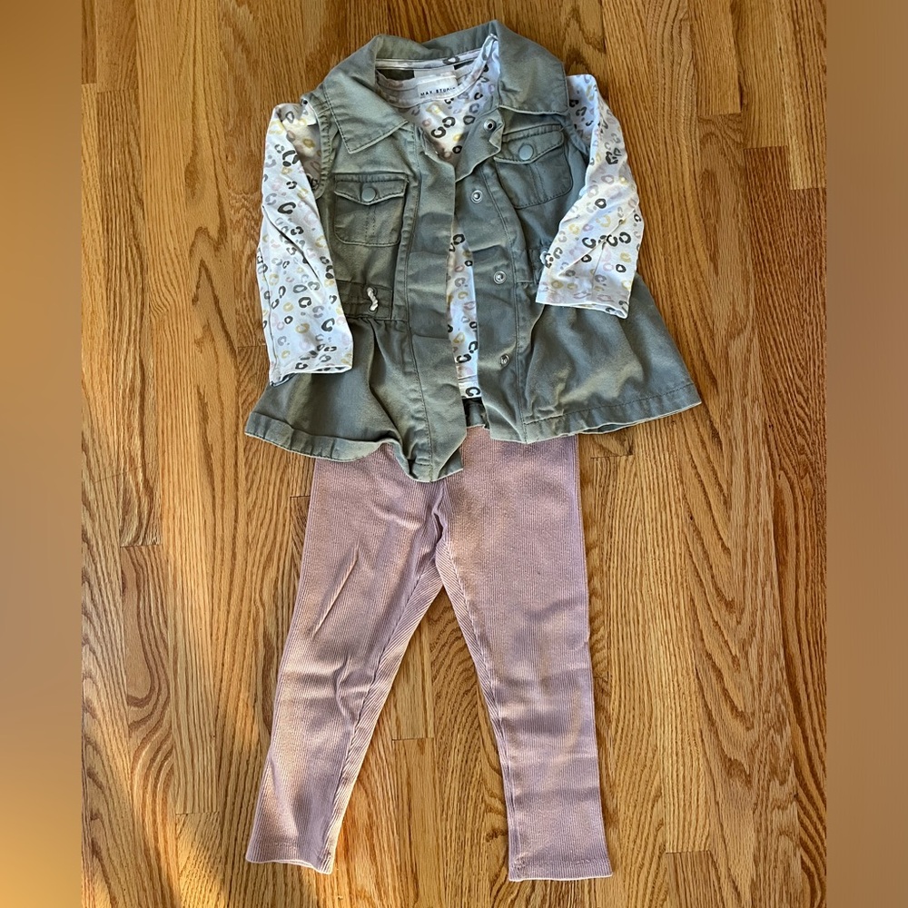 2T Max Studio 3 piece outfit - sage/blush/animal print
